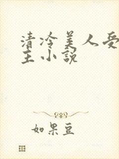 清冷美人受双男主小说封面