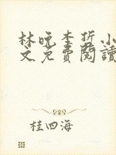 林晚李哲小说全文免费阅读封面