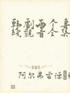 韩剧两个妻子在线观看全集免费