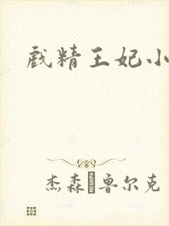 戏精王妃小说版封面