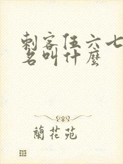 刺客伍六七的真名叫什么