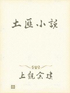 土匪小说