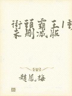 街头霸王1动漫未删减版