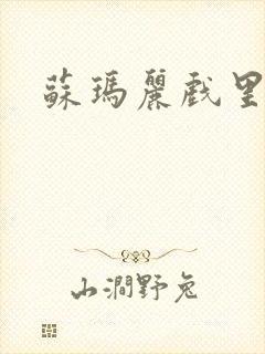 苏玛丽戏里戏外封面