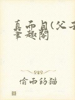 真面目(父子)笔趣阁