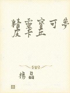 精灵宝可梦小智皮卡丘