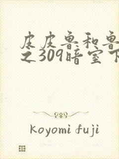 皮皮鲁和鲁西西之309暗室下载