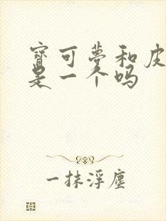 宝可梦和皮卡丘是一个吗