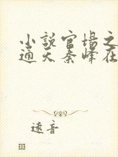 小说官场之手眼通天秦峰在线阅读