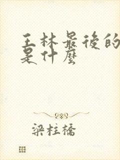 王林最后的结局是什么封面