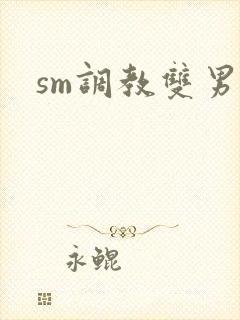 sm调教双男主封面