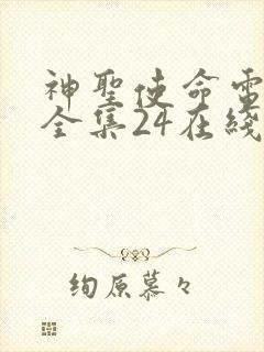 神圣使命电视剧全集24在线观看