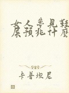 女人梦见鞋子沾屎预兆什么