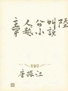 主人公叫陆叶的穿越小说