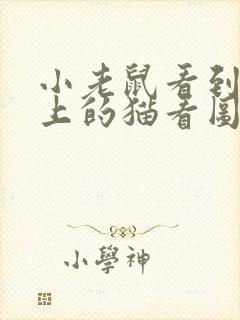 小老鼠看到电脑上的猫看图写话