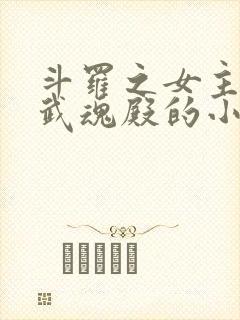 斗罗之女主加入武魂殿的小说封面