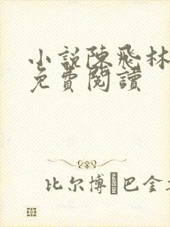 小说陈飞林秋涵免费阅读