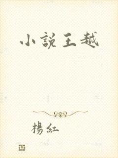 小说王越