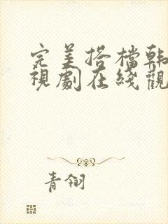 完美搭档韩剧电视剧在线观看全集高清