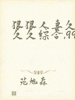 狠狠人妻久久久久久综合,99久久精品