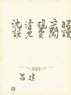 沈清砚宋昭汐小说免费阅读最新章节