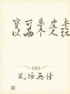 宝可梦皮卡丘可以两个人玩吗