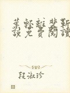 叶轻离裴靳墨小说免费阅读无弹窗封面