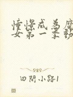 憧憬成为魔法少女第一季动画