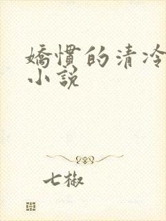 娇惯的清冷美人小说