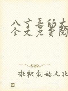 八寸长的大宝贝全文免费阅读