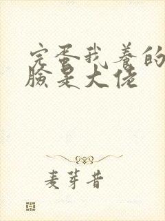 完蛋我养的小白脸是大佬