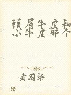 头层牛皮和头层小牛皮哪个好封面