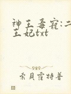 神王毒宠:二嫁王妃txt