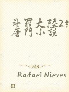 斗罗大陆2绝世唐门小说