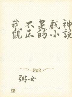 我不是戏神是三观正的小说吗封面