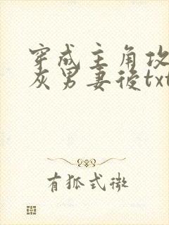 穿成主角攻的炮灰男妻后txt