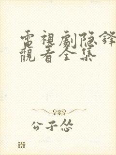 电视剧隐锋免费观看全集封面