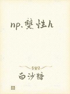 np.双性h封面