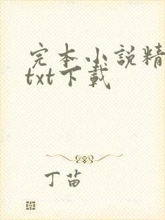 完本小说精校版txt下载