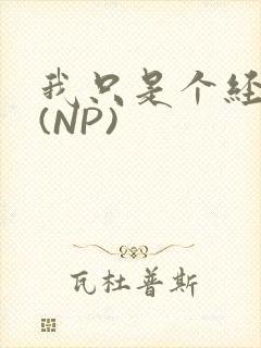 我只是个经纪人(NP)