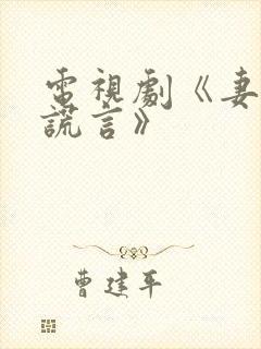 电视剧《妻子的谎言》