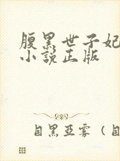 腹黑世子妃日常小说正版