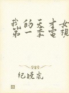 我的天才女友 第一季电视剧