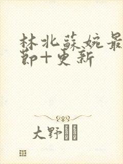 林北苏婉最新章节+更新