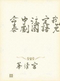 命中注定我爱你泰剧国语免费观看全集封面