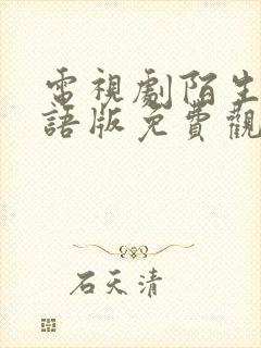 电视剧陌生人国语版免费观看封面