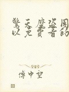 惊天魔盗团2可以免费看的软件