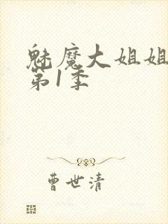 魅魔大姐姐动漫第1季封面