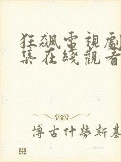 狂飙电视剧21集在线观看免费高清