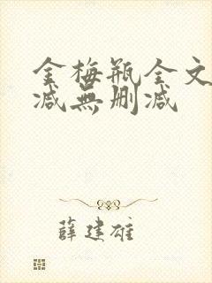 金梅瓶全文无删减无删减封面